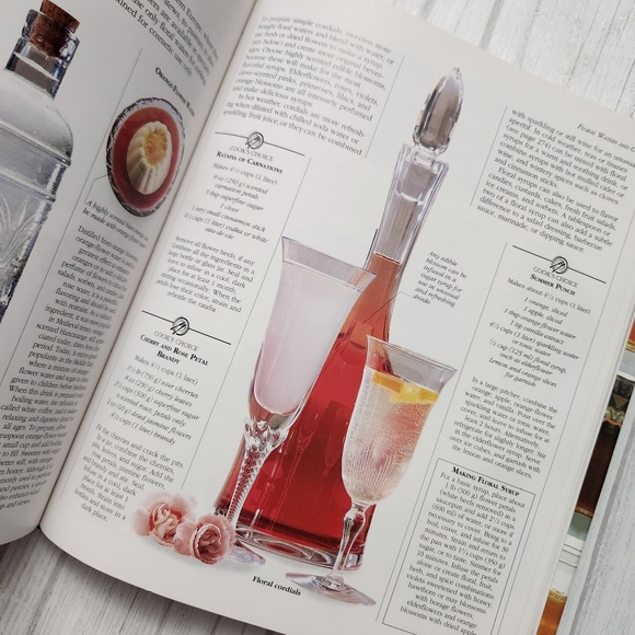 The Encyclopedia of Herbs Spices & Flavorings a Cook's Compendium - Picture 10 of 12